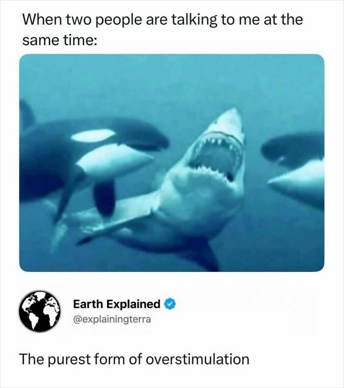 41 Interesting Facts That Are Perfect For People Who Love Learning New Things