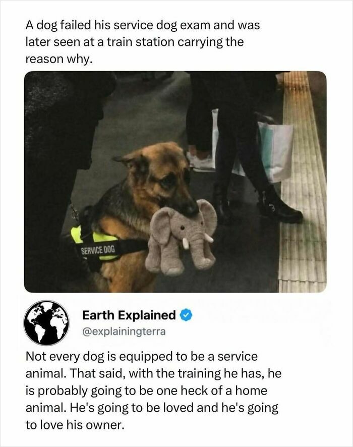 41 Interesting Facts That Are Perfect For People Who Love Learning New Things