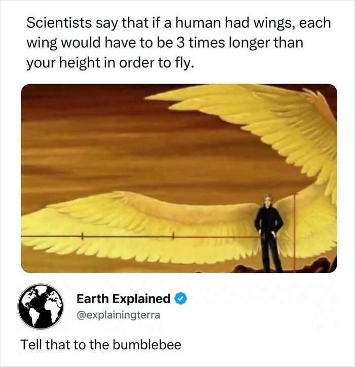 41 Interesting Facts That Are Perfect For People Who Love Learning New Things