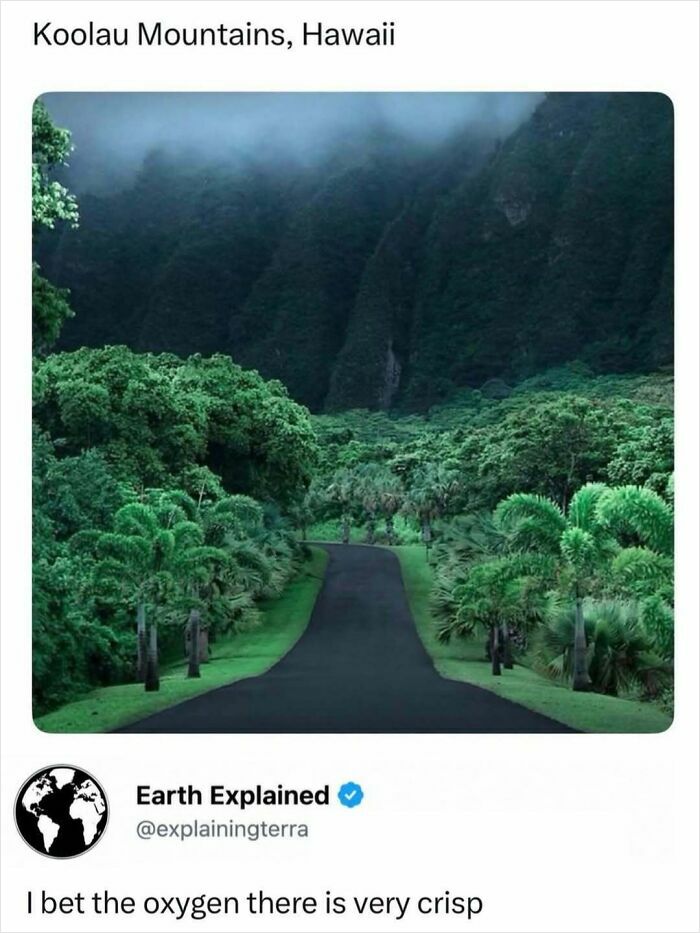 41 Interesting Facts That Are Perfect For People Who Love Learning New Things