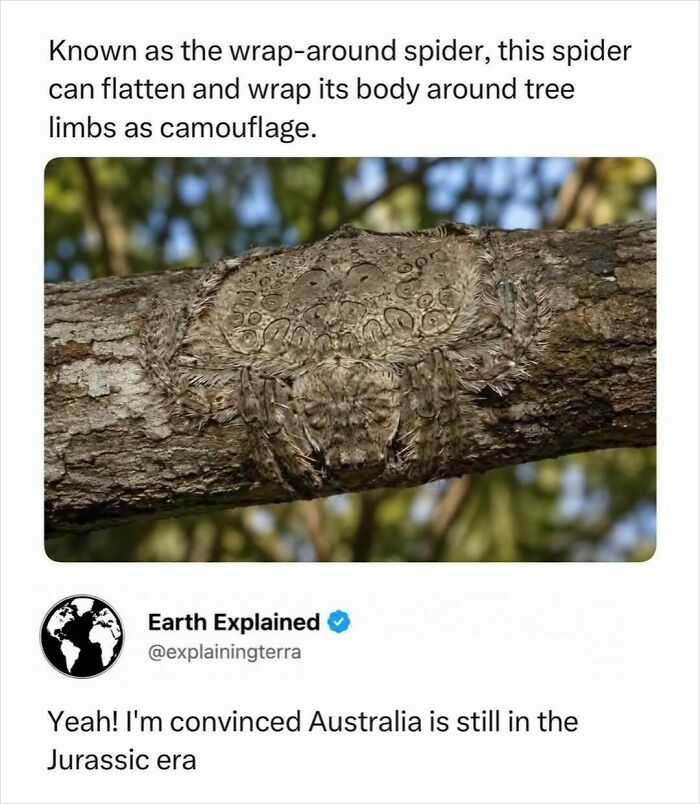 41 Interesting Facts That Are Perfect For People Who Love Learning New Things