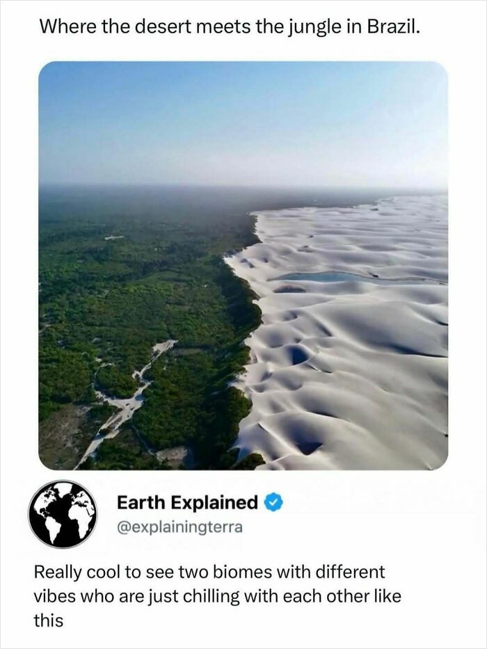 41 Interesting Facts That Are Perfect For People Who Love Learning New Things