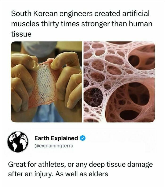 41 Interesting Facts That Are Perfect For People Who Love Learning New Things