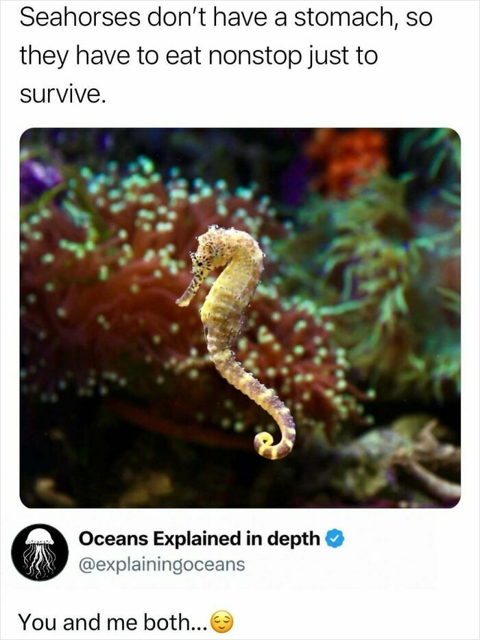 41 Interesting Facts That Are Perfect For People Who Love Learning New Things