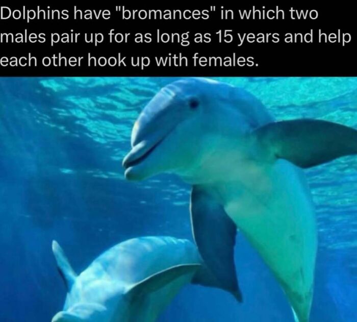 41 Interesting Facts That Are Perfect For People Who Love Learning New Things