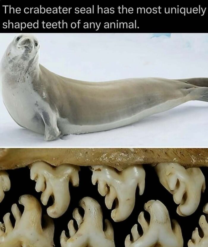 41 Interesting Facts That Are Perfect For People Who Love Learning New Things