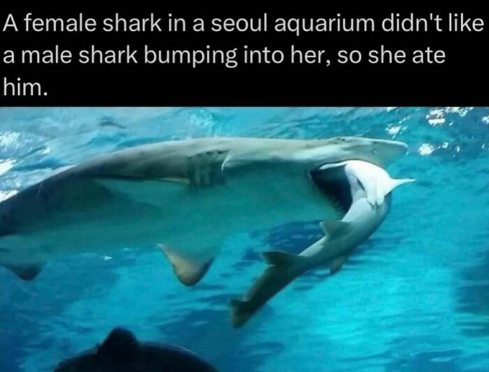 41 Interesting Facts That Are Perfect For People Who Love Learning New Things