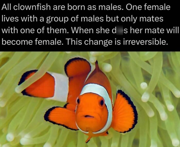41 Interesting Facts That Are Perfect For People Who Love Learning New Things