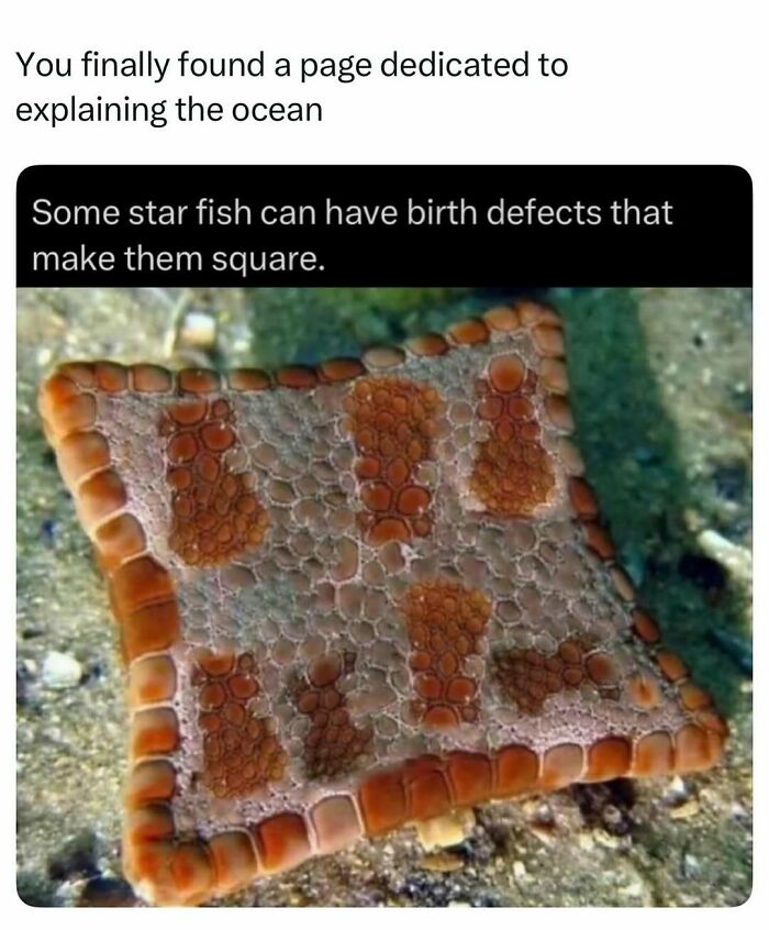 41 Interesting Facts That Are Perfect For People Who Love Learning New Things
