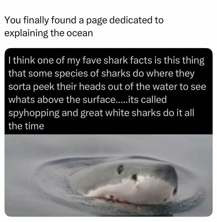 41 Interesting Facts That Are Perfect For People Who Love Learning New Things