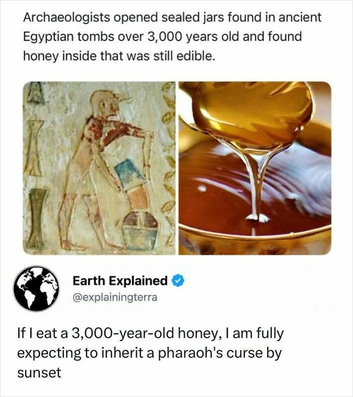 41 Interesting Facts That Are Perfect For People Who Love Learning New Things