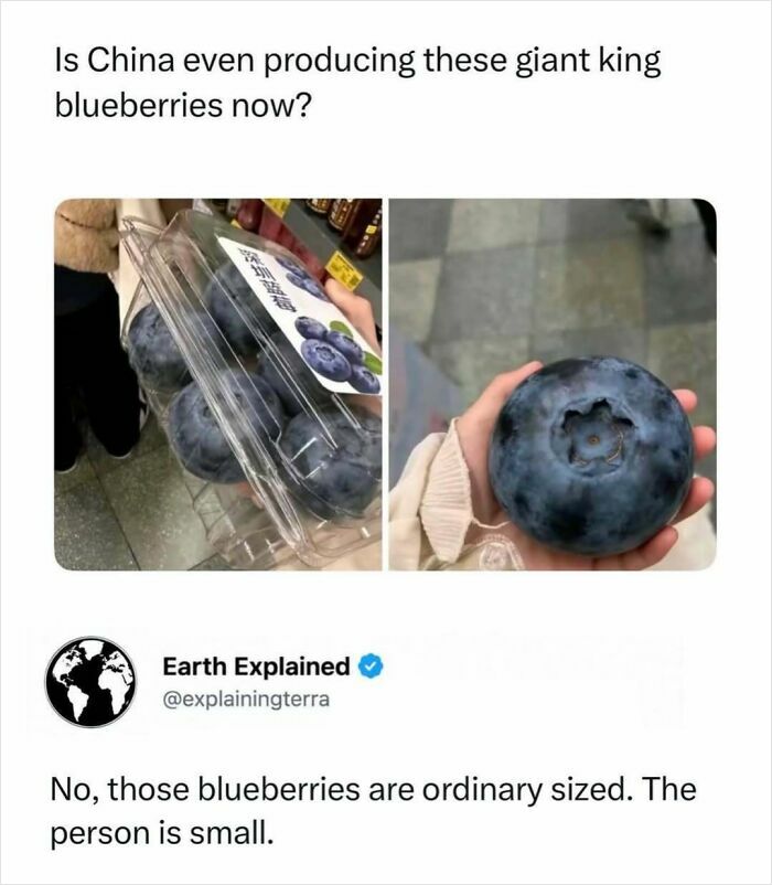 41 Interesting Facts That Are Perfect For People Who Love Learning New Things