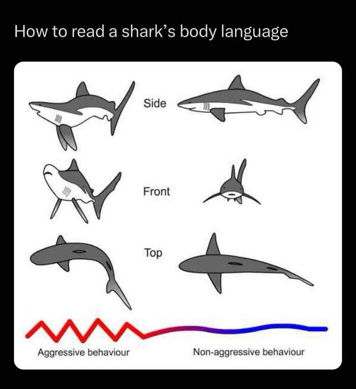 41 Interesting Facts That Are Perfect For People Who Love Learning New Things