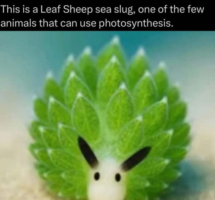 41 Interesting Facts That Are Perfect For People Who Love Learning New Things