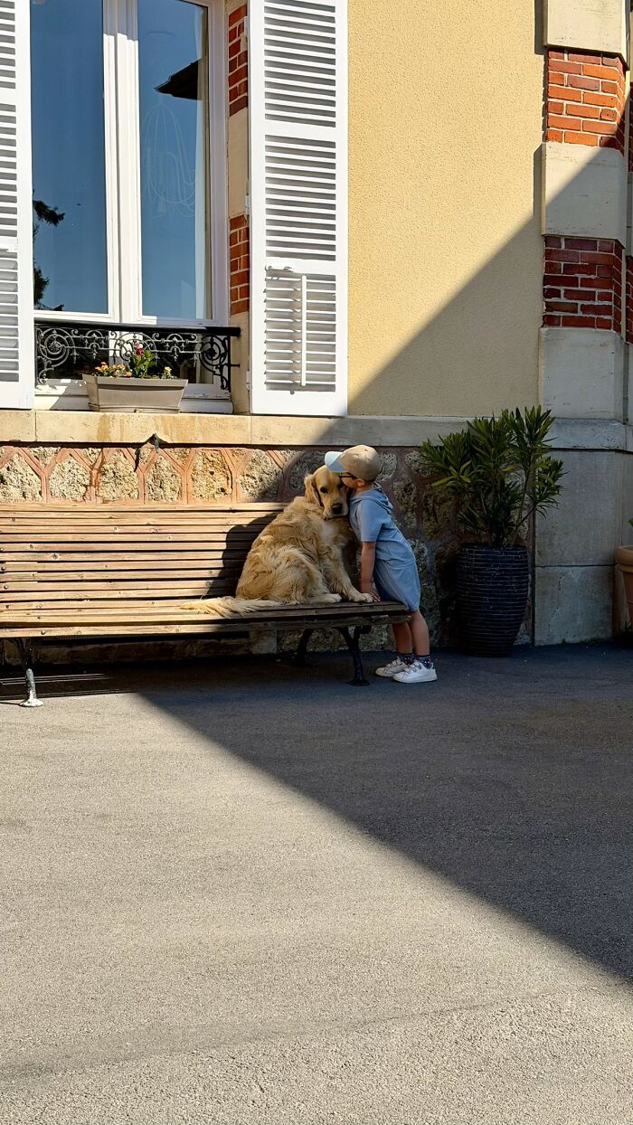 &ldquo;Like A Painting&rdquo;: This Wholesome Photo Trend Between Strangers Has The Internet In A Chokehold