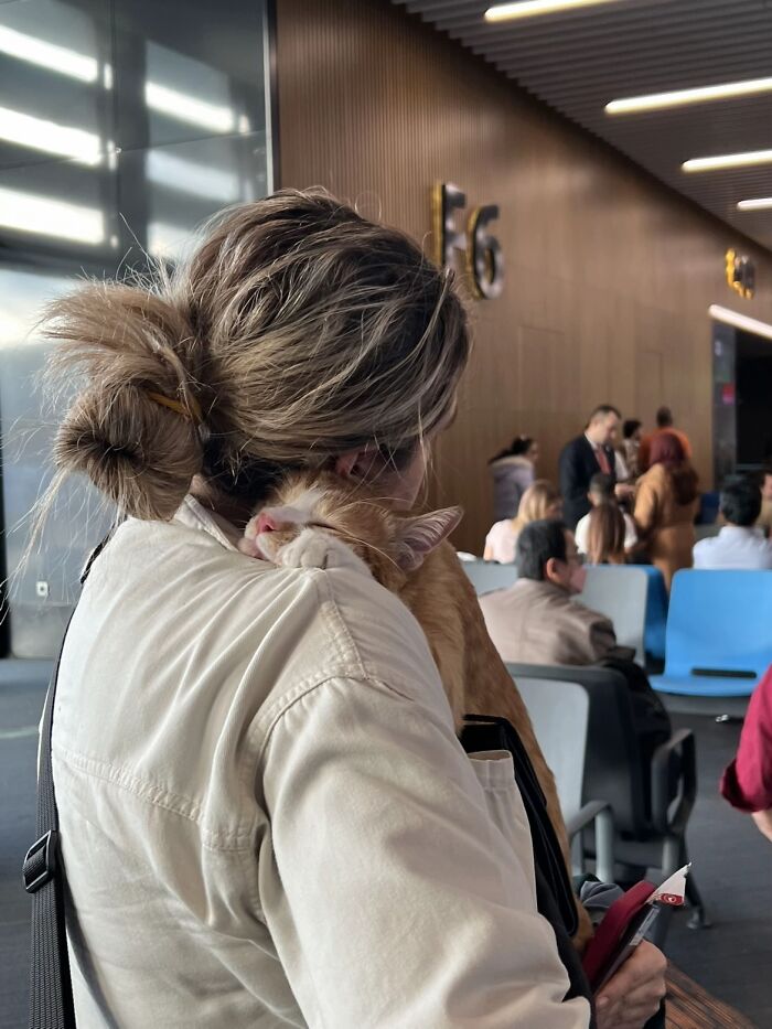 &ldquo;Like A Painting&rdquo;: This Wholesome Photo Trend Between Strangers Has The Internet In A Chokehold