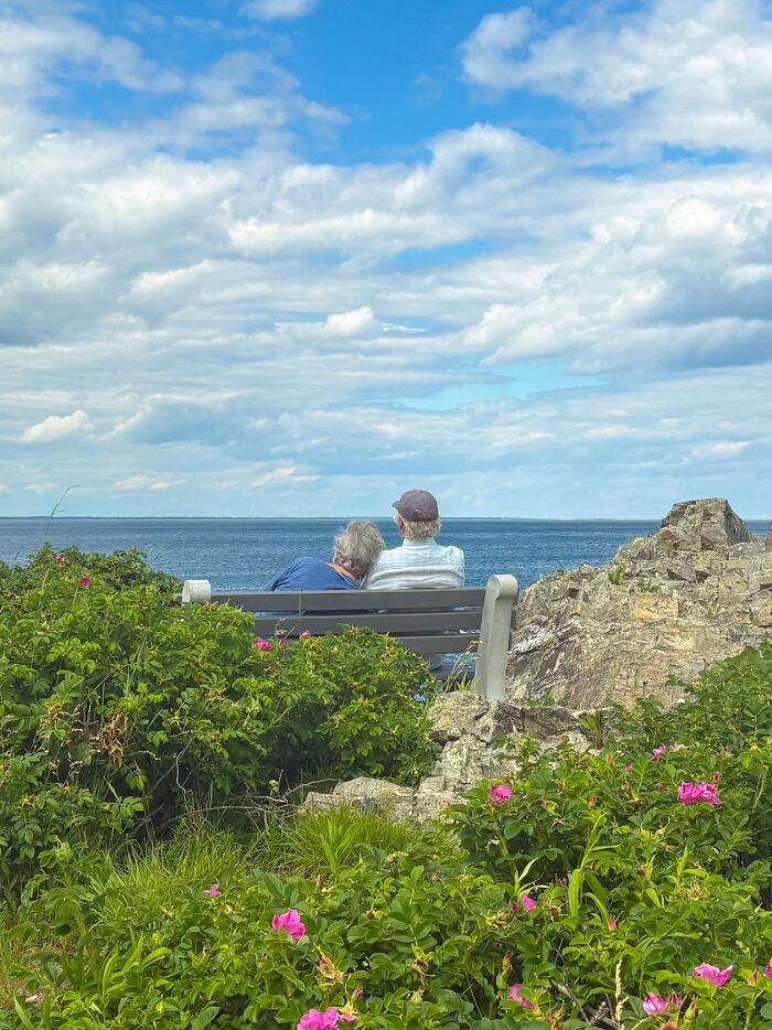 &ldquo;Like A Painting&rdquo;: This Wholesome Photo Trend Between Strangers Has The Internet In A Chokehold