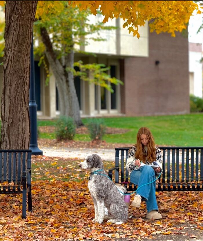&ldquo;Like A Painting&rdquo;: This Wholesome Photo Trend Between Strangers Has The Internet In A Chokehold