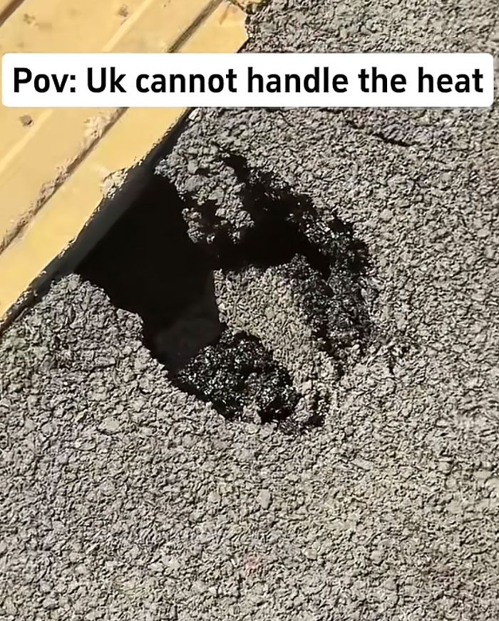 35 Photos Of Europeans Trying To Survive The Heatwave Without Fully Melting