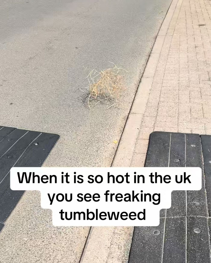 35 Photos Of Europeans Trying To Survive The Heatwave Without Fully Melting