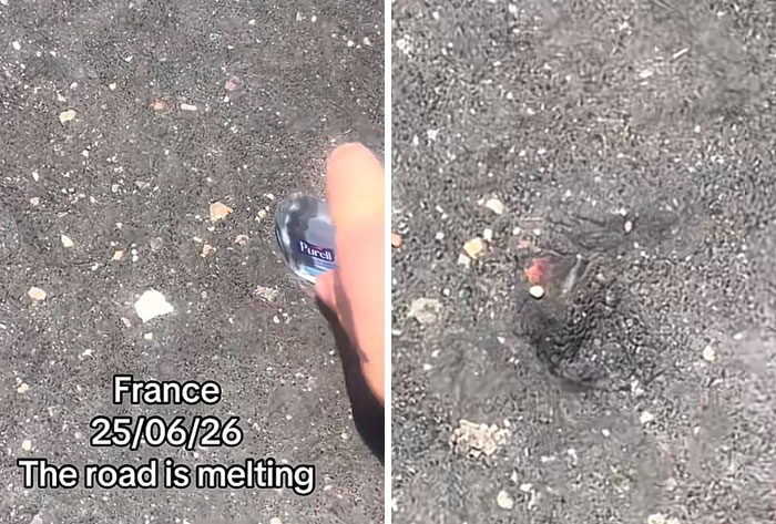 35 Photos Of Europeans Trying To Survive The Heatwave Without Fully Melting