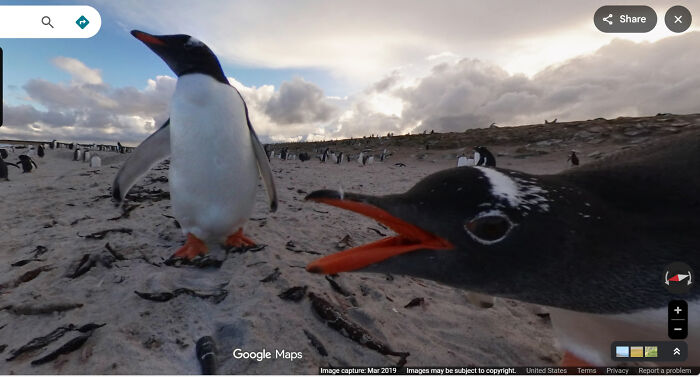 &ldquo;I Will Be Immortalized On Google Street View Forever&rdquo;: 81 Bizarre And Funny Google Street View Photos