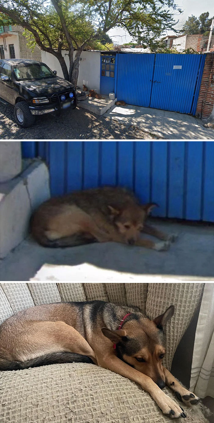 &ldquo;I Will Be Immortalized On Google Street View Forever&rdquo;: 81 Bizarre And Funny Google Street View Photos