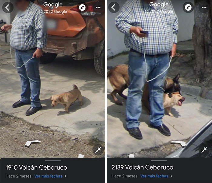 &ldquo;I Will Be Immortalized On Google Street View Forever&rdquo;: 81 Bizarre And Funny Google Street View Photos