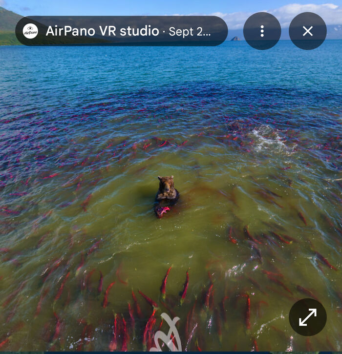 &ldquo;I Will Be Immortalized On Google Street View Forever&rdquo;: 81 Bizarre And Funny Google Street View Photos
