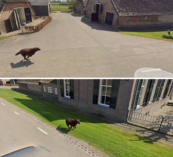 &ldquo;I Will Be Immortalized On Google Street View Forever&rdquo;: 81 Bizarre And Funny Google Street View Photos