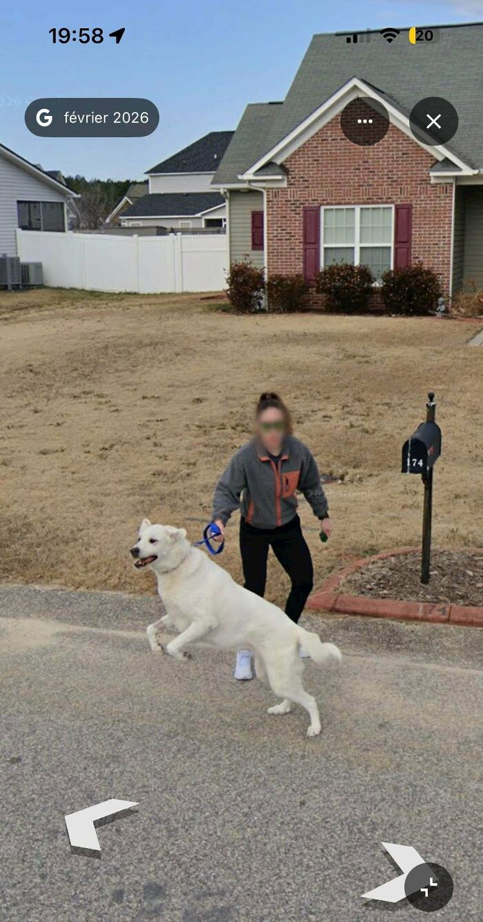 &ldquo;I Will Be Immortalized On Google Street View Forever&rdquo;: 81 Bizarre And Funny Google Street View Photos