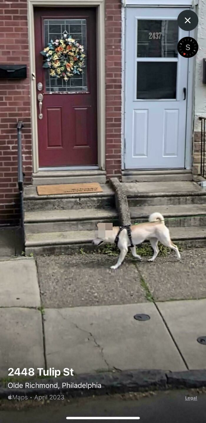 &ldquo;I Will Be Immortalized On Google Street View Forever&rdquo;: 81 Bizarre And Funny Google Street View Photos