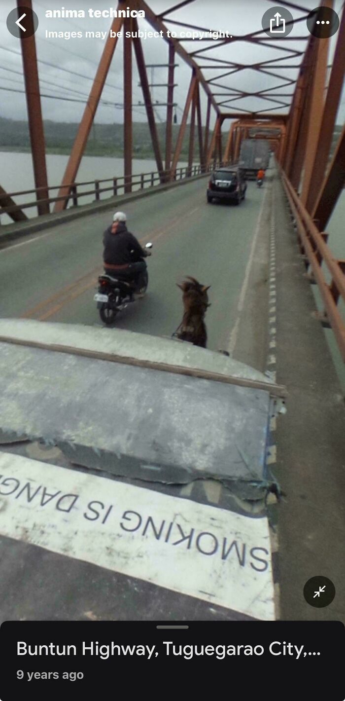 &ldquo;I Will Be Immortalized On Google Street View Forever&rdquo;: 81 Bizarre And Funny Google Street View Photos