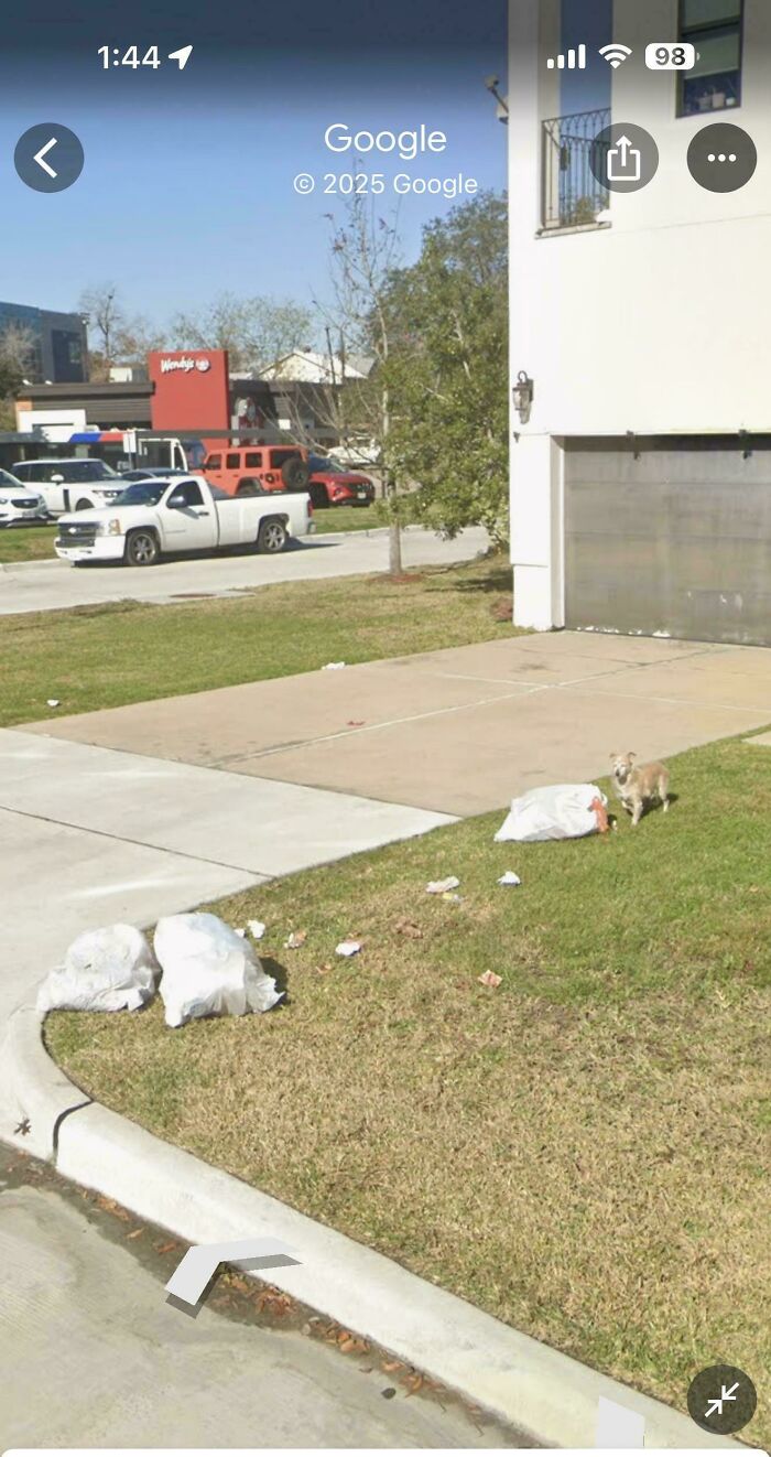 &ldquo;I Will Be Immortalized On Google Street View Forever&rdquo;: 81 Bizarre And Funny Google Street View Photos