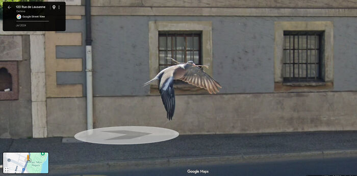 &ldquo;I Will Be Immortalized On Google Street View Forever&rdquo;: 81 Bizarre And Funny Google Street View Photos