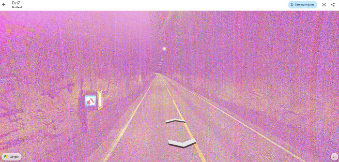 &ldquo;I Will Be Immortalized On Google Street View Forever&rdquo;: 81 Bizarre And Funny Google Street View Photos