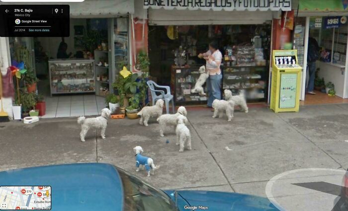 &ldquo;I Will Be Immortalized On Google Street View Forever&rdquo;: 81 Bizarre And Funny Google Street View Photos
