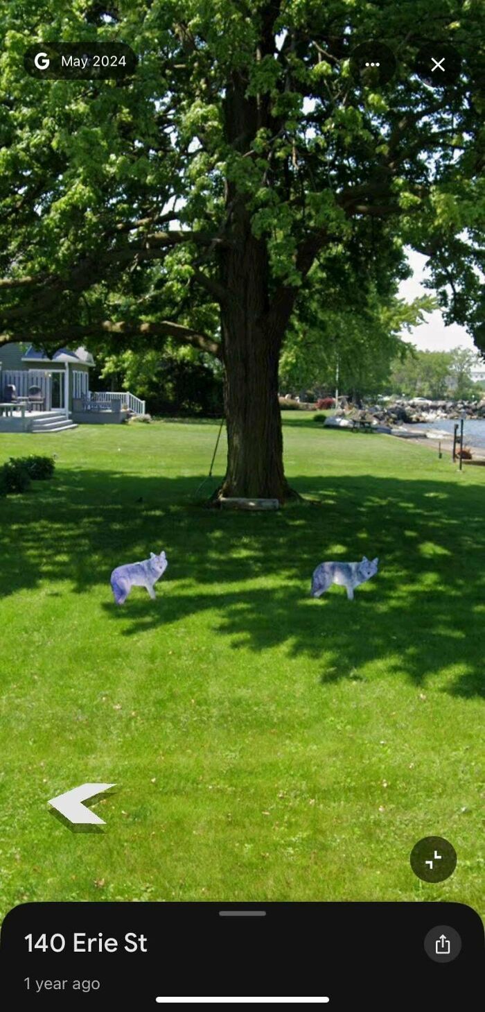 &ldquo;I Will Be Immortalized On Google Street View Forever&rdquo;: 81 Bizarre And Funny Google Street View Photos