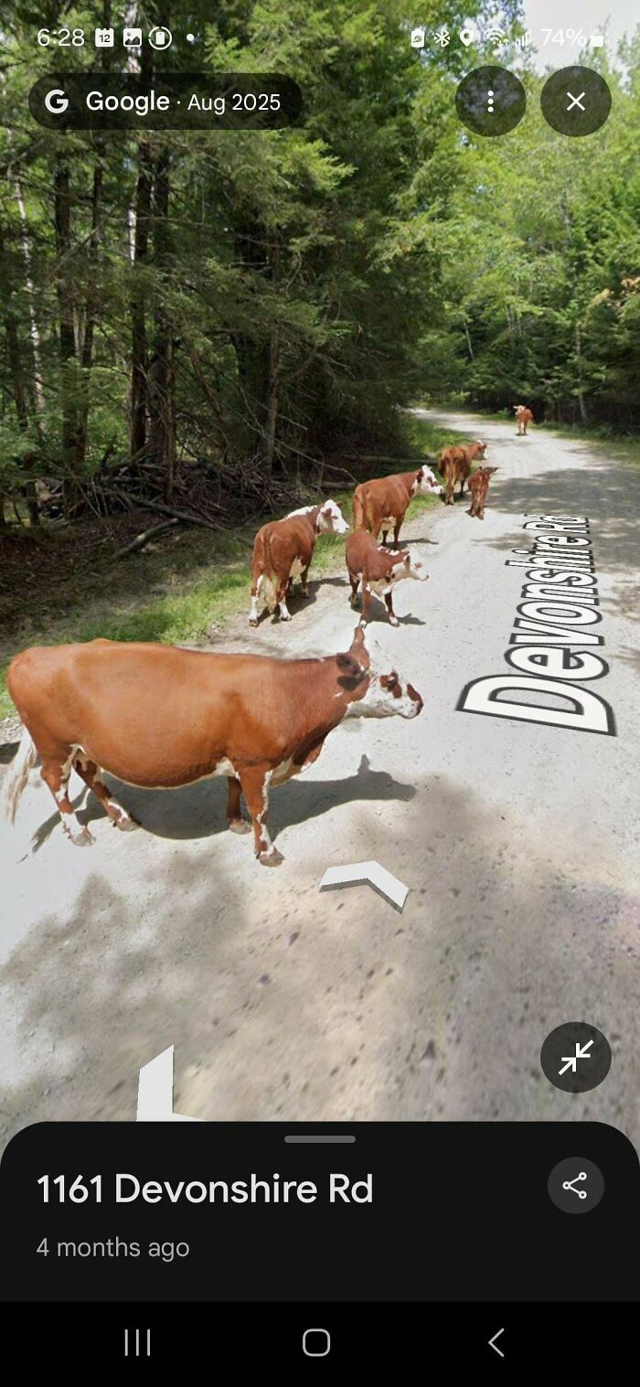&ldquo;I Will Be Immortalized On Google Street View Forever&rdquo;: 81 Bizarre And Funny Google Street View Photos