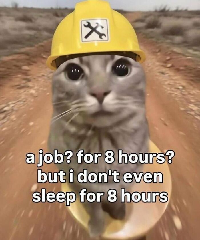 69 Hilarious Pictures That Don’t Explain Themselves At All And Never Will