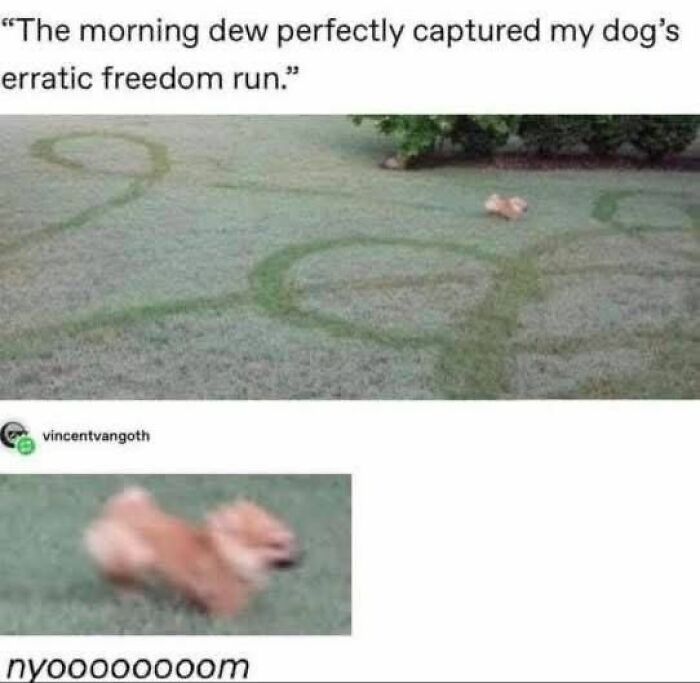 69 Hilarious Pictures That Don’t Explain Themselves At All And Never Will