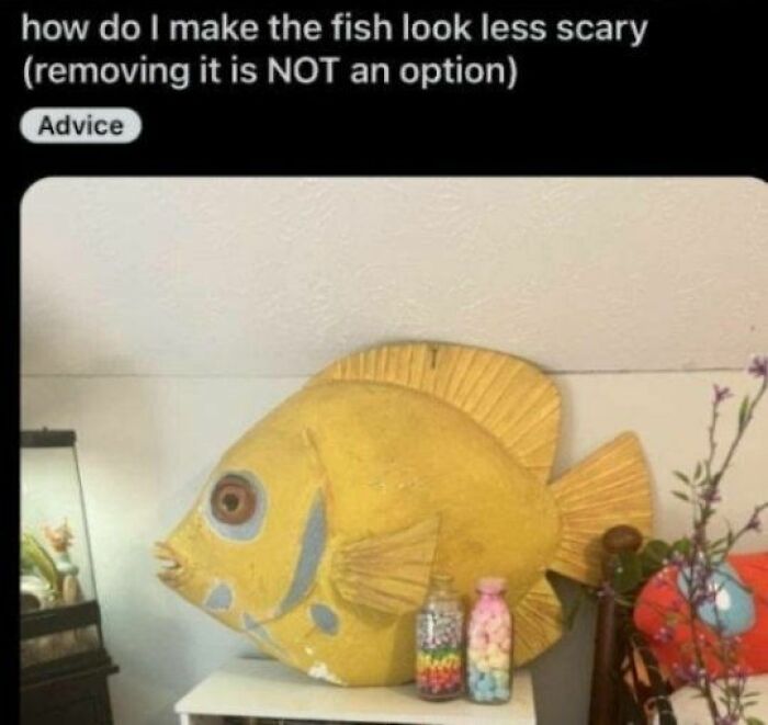 69 Hilarious Pictures That Don’t Explain Themselves At All And Never Will