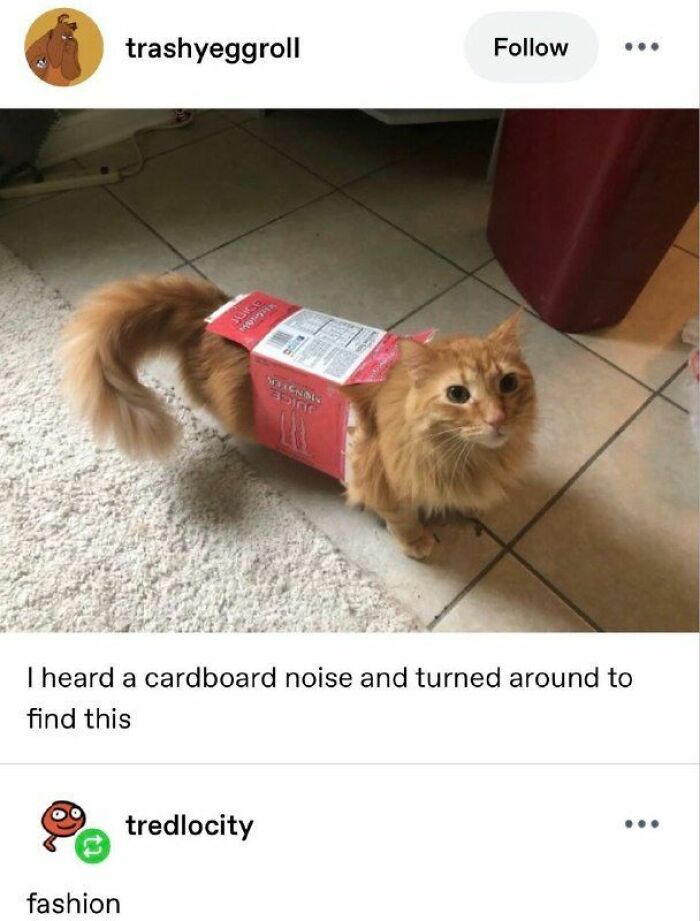69 Hilarious Pictures That Don’t Explain Themselves At All And Never Will