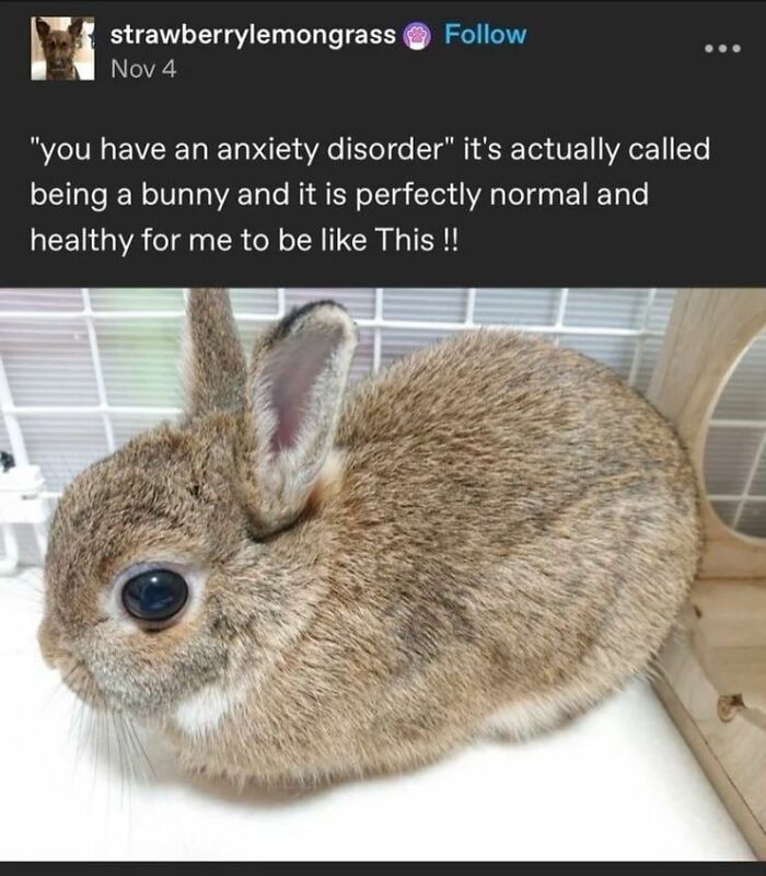 69 Hilarious Pictures That Don’t Explain Themselves At All And Never Will