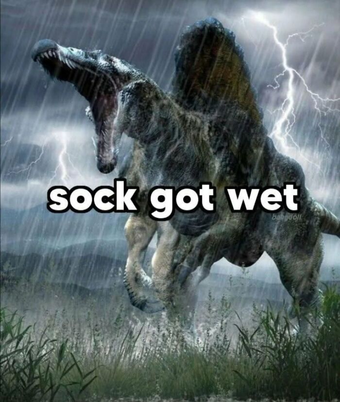 69 Hilarious Pictures That Don’t Explain Themselves At All And Never Will