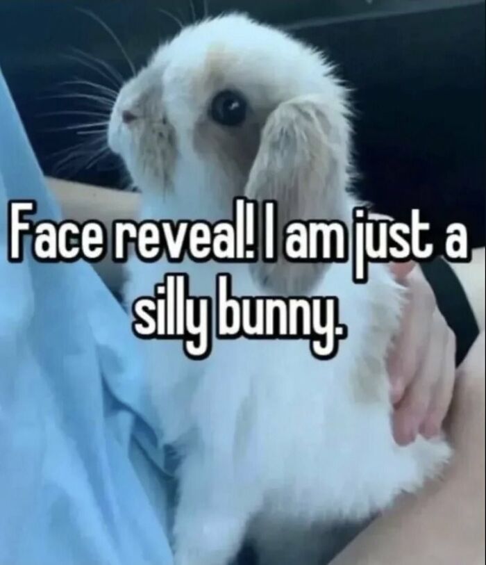 69 Hilarious Pictures That Don’t Explain Themselves At All And Never Will