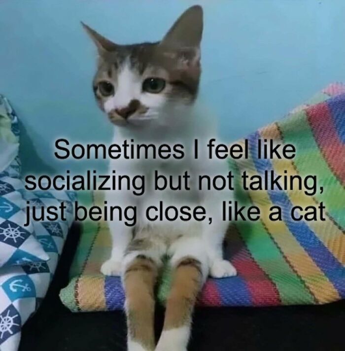 69 Hilarious Pictures That Don’t Explain Themselves At All And Never Will
