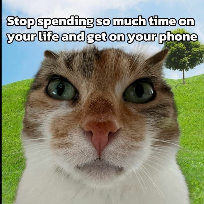 69 Hilarious Pictures That Don’t Explain Themselves At All And Never Will