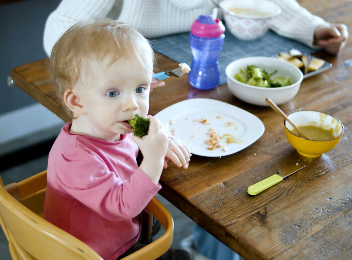 Doctor Issues Warning After Mom Shows Off Her 1-Year-Old Toddler’s Lunch