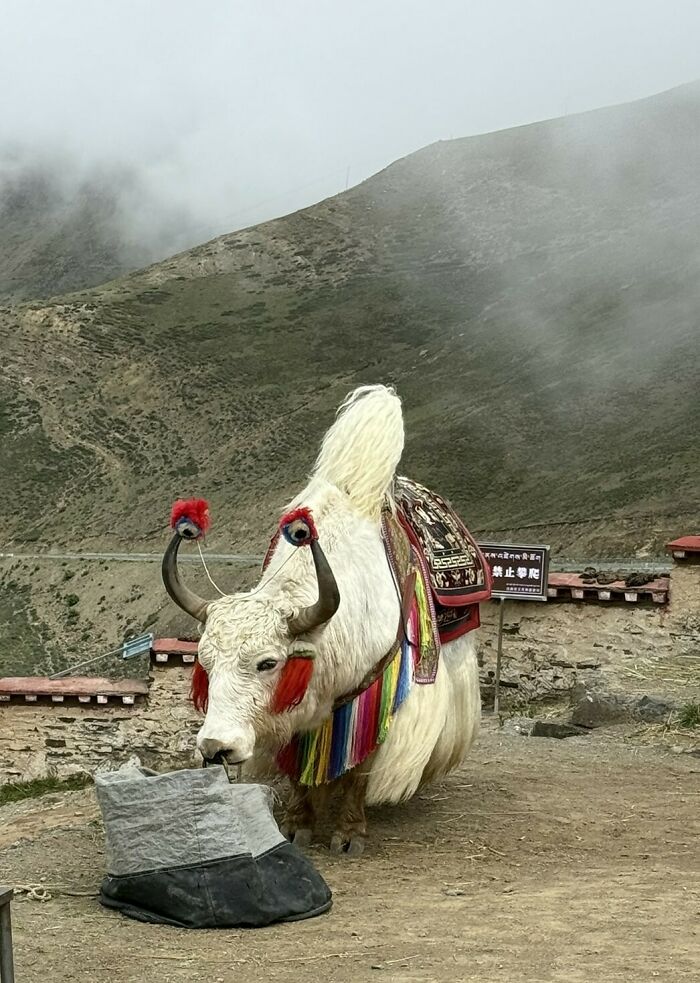After Visiting Nearly 70 Countries, This Traveler Found China Unlike Anywhere Else (33 Pics)